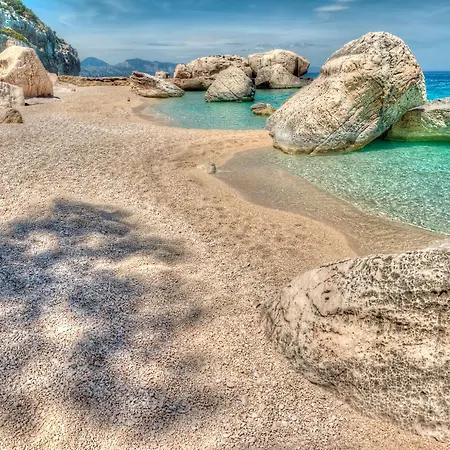 Cala Luas كارديدو